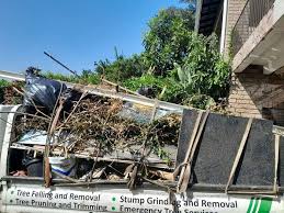 Best Shed Removal  in Debary, FL
